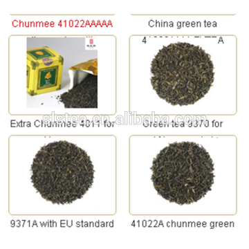 Best taste and high grade cha chai tea chunmee green tea